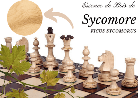 échiquier en sycomore essence de bois