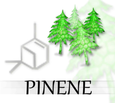 terpene tees pinene