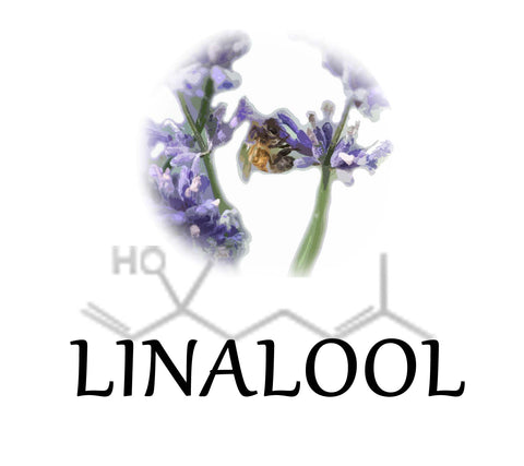 terpene tees linalool