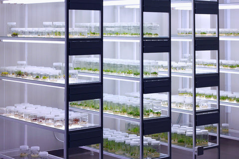 A tissue culture laboratory with electric lights