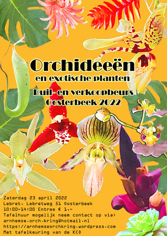 Orchid Kring Arnhem 23 April 2022