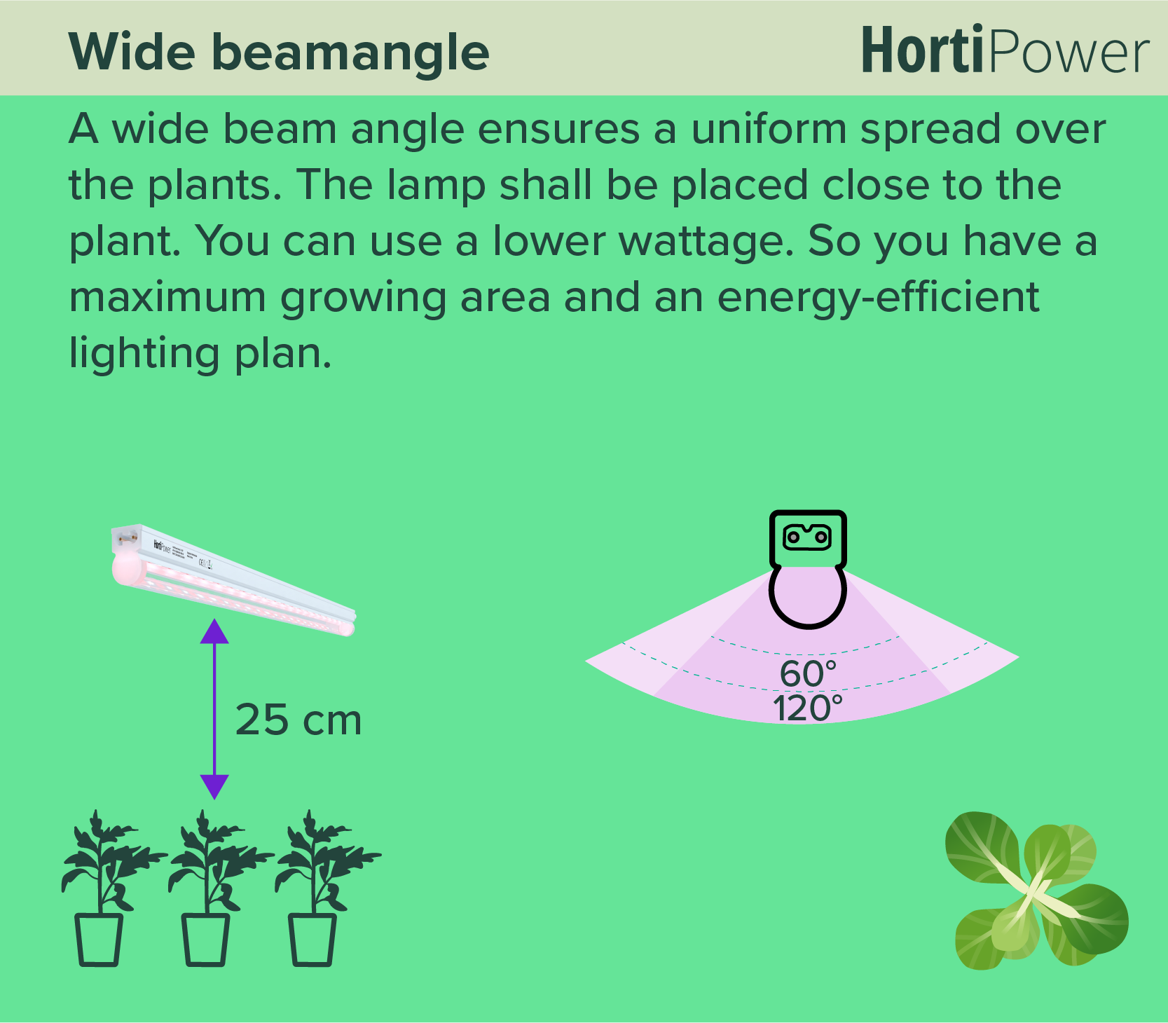 Wide beamangle growlights