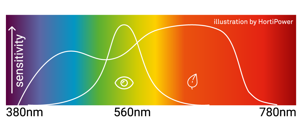 visible light spectrum and plant spectrum