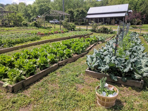 CSA, Farm, Organic, Gardening, Madison Creek Farms