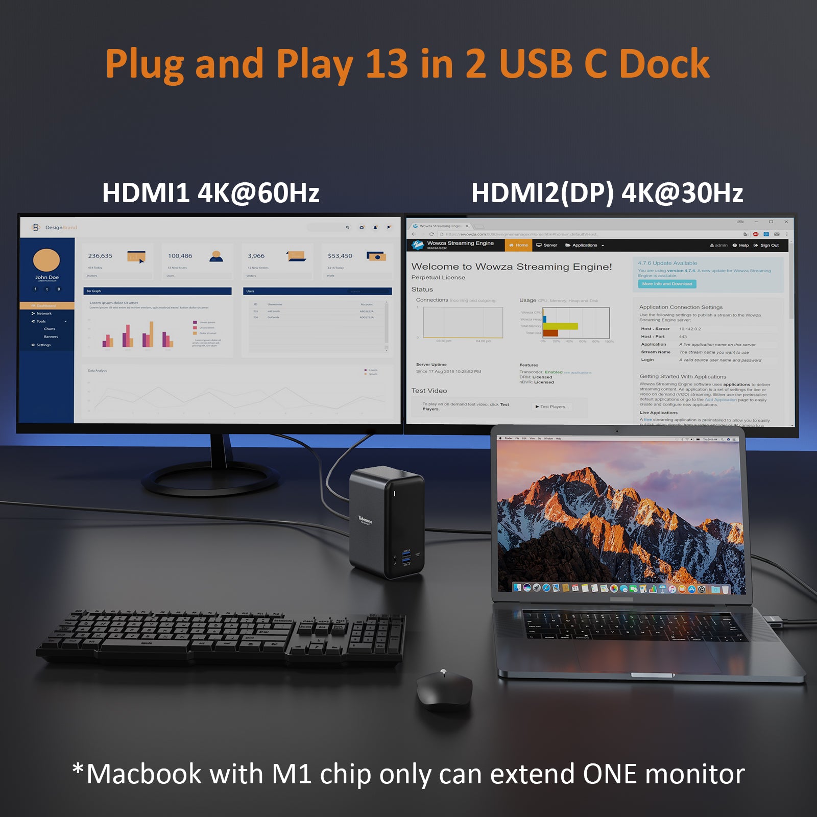 citrix viewer dual monitors