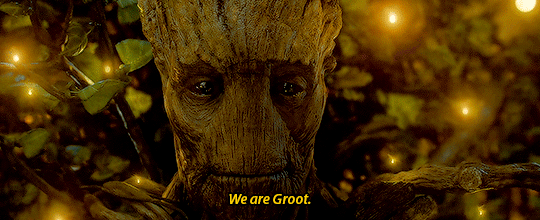 we are groot / nous sommes groot