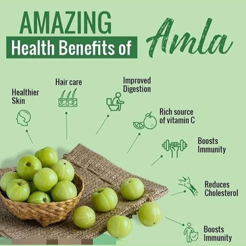 Rozhub Naturals Amla Herbal Powder (Indian Gooseberry) - 100g