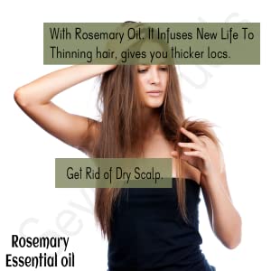 Rozhub Naturals Rosemary Essential Oil For Hair Growth,Skin and Body 100% Pure and Natural Therapeutic Grade - 15ml