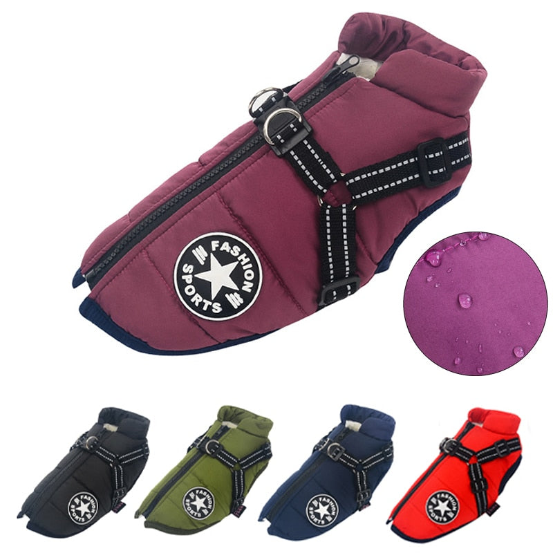 Pet Dog Jacket With Harness