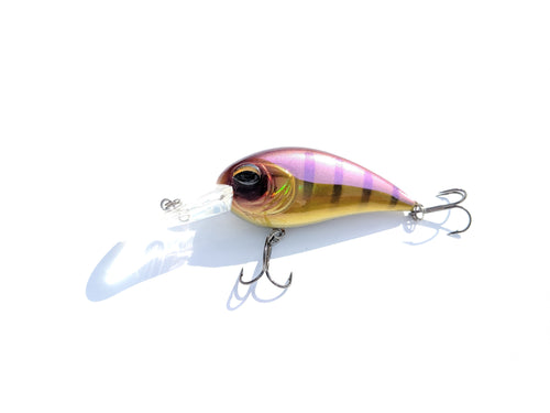 Jenko Fishing CD7 Crankbait – Custom Tackle Supply