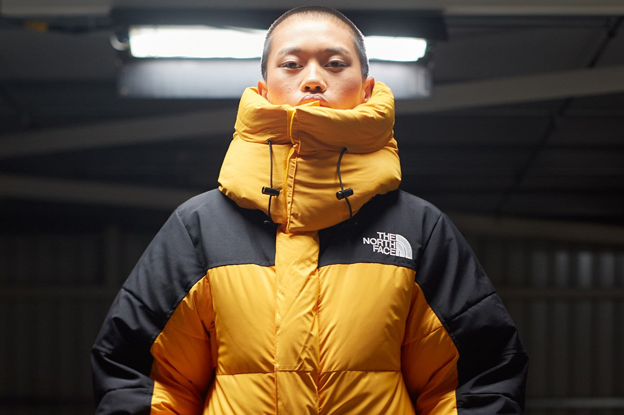 Shop The North Face NZ