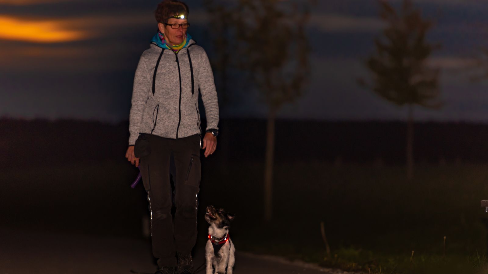 Frau läuft im dunkeln mit ihrem Hund
