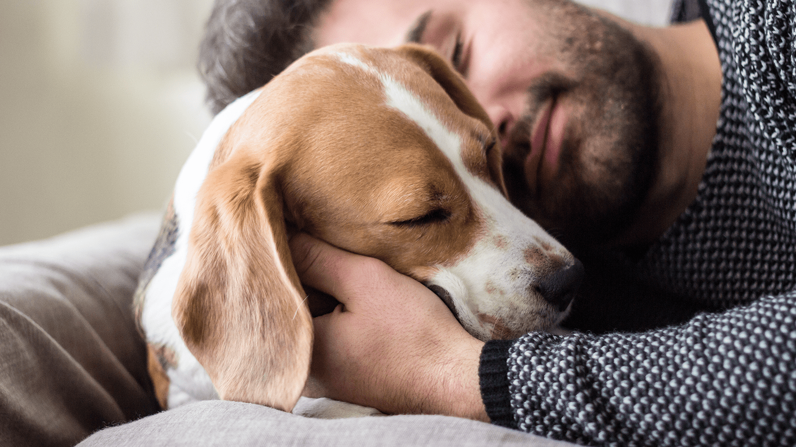 Hund entspannt mit Herrchen