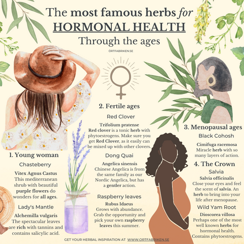 Explore the most famous herbs for HORMONAL HEALTH. Through the ages.