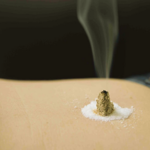 Gör moxibustion med gråbo