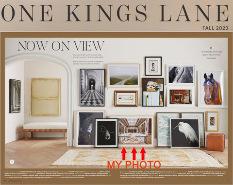 One Kings Lane new fall Catalogue for Fall 2023