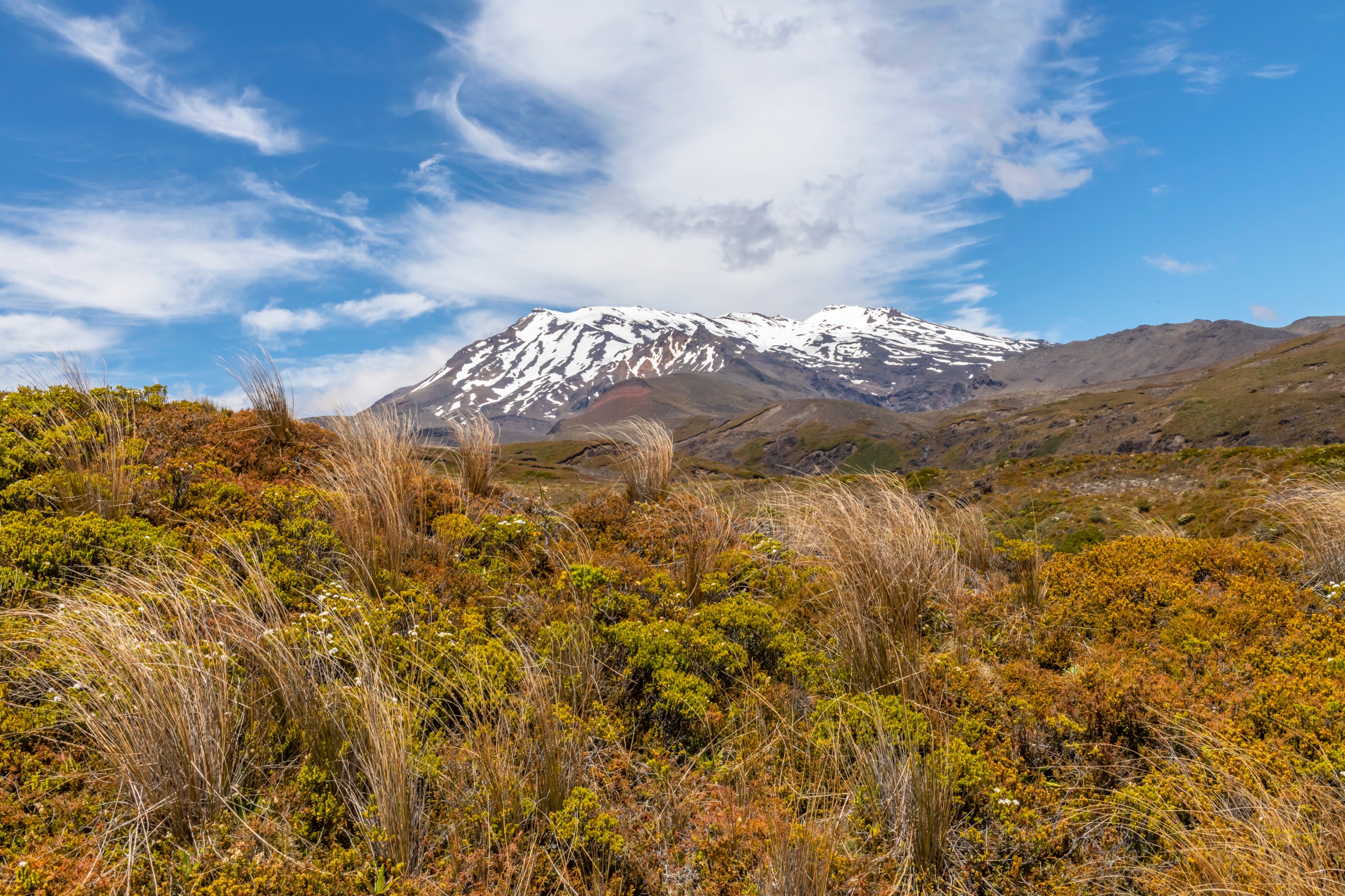 Snow Capped New Zealand Mountain Landscape Richard Silver Photo