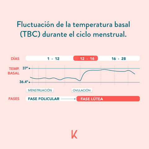 Metodo sintotermico temperatura basal