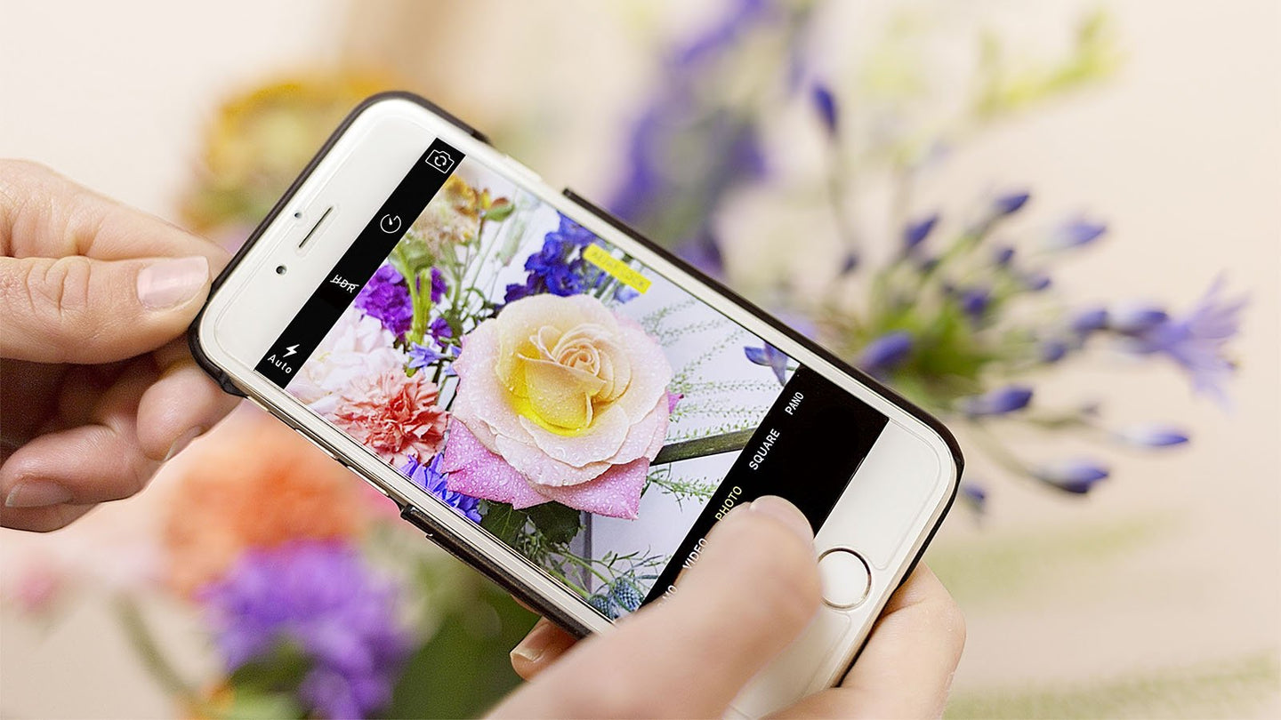 10 Tipps Fur Umwerfende Blumenfotografie Mit Dem Handy