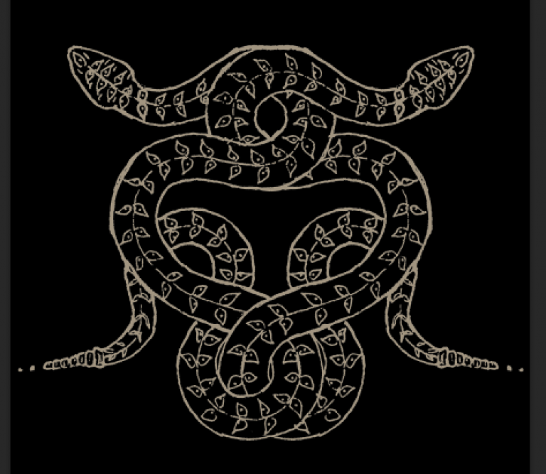 SOVRIN snake design
