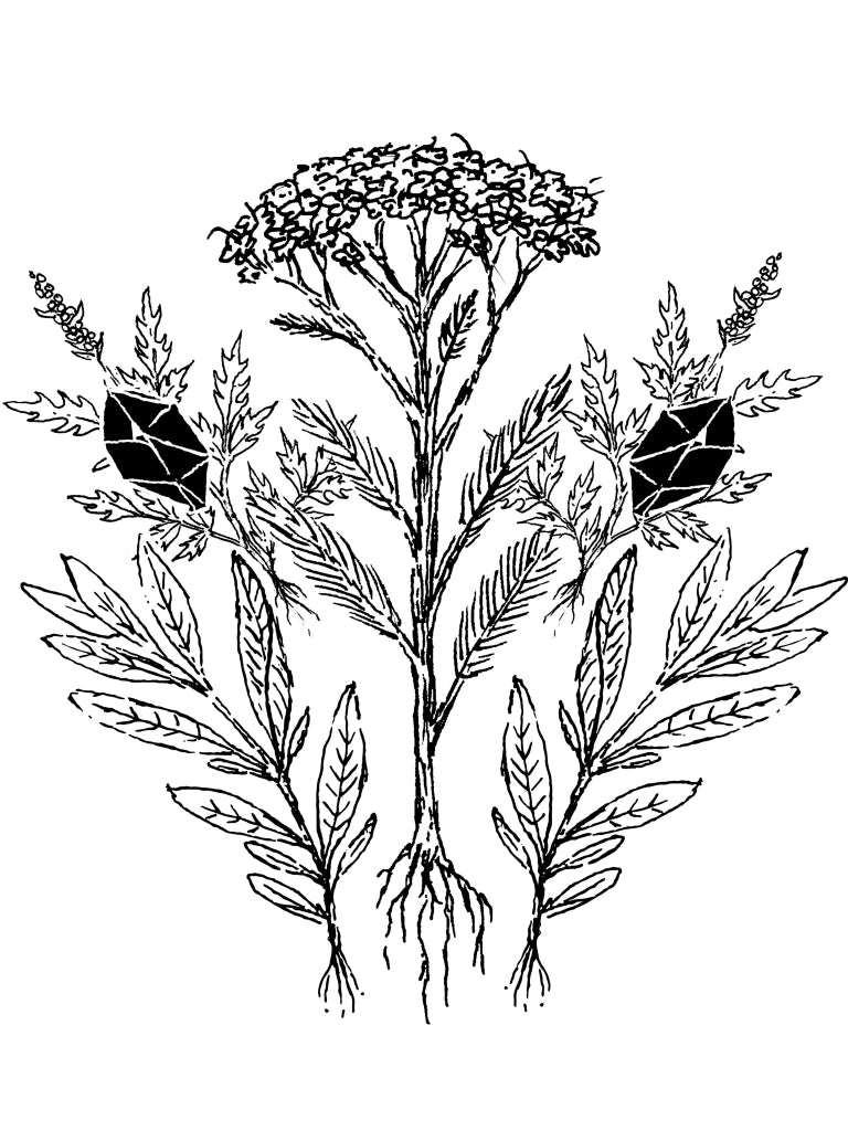 Yarrow and Sage design