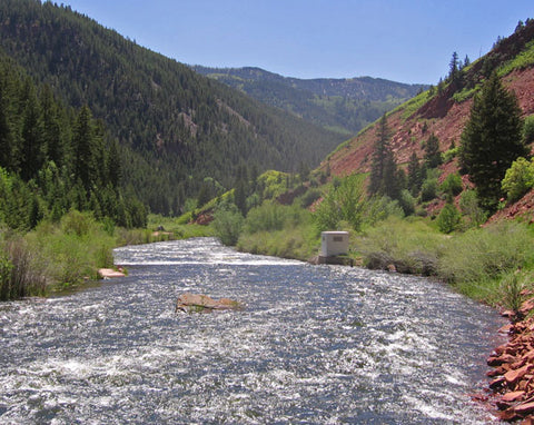 Destination Trout  Fryingpan River 