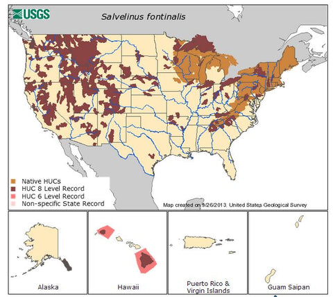 Brook Trout Fish Nevada State Map Fishing - Brook Trout - Magnet