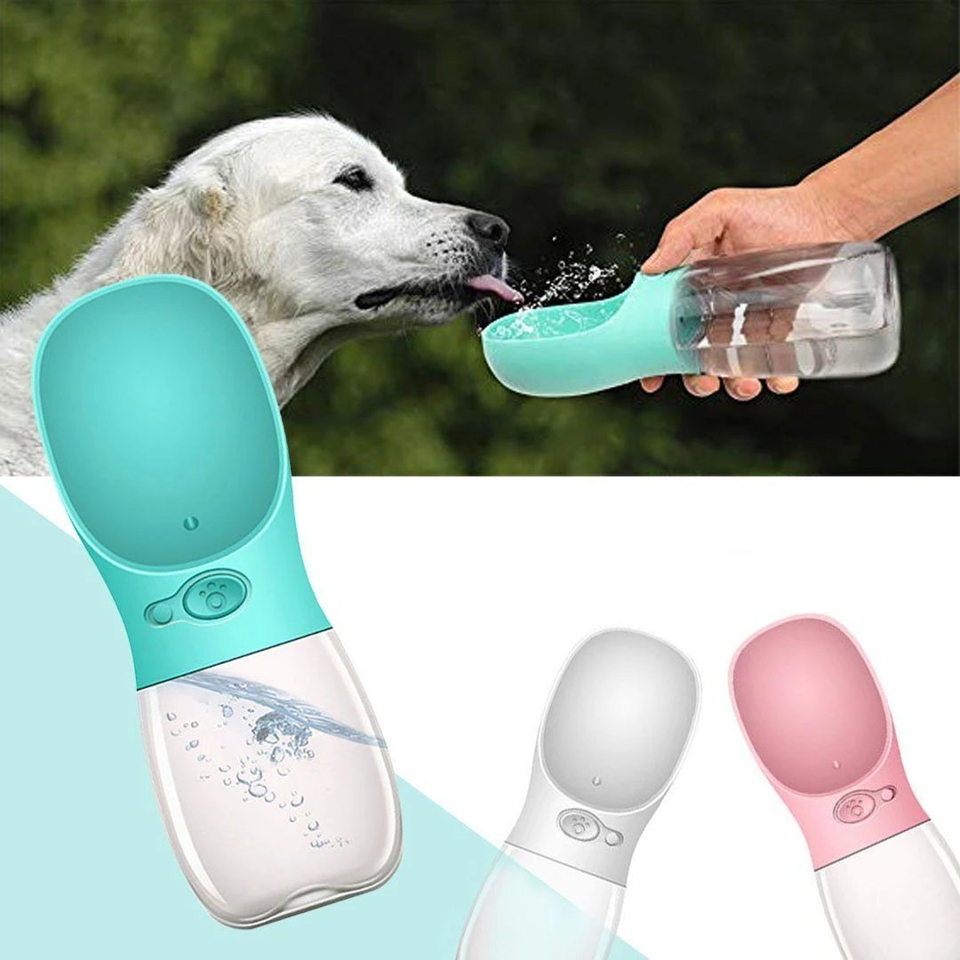 The Perfect Pet Water Bottle: Ensuring Hydration in Style