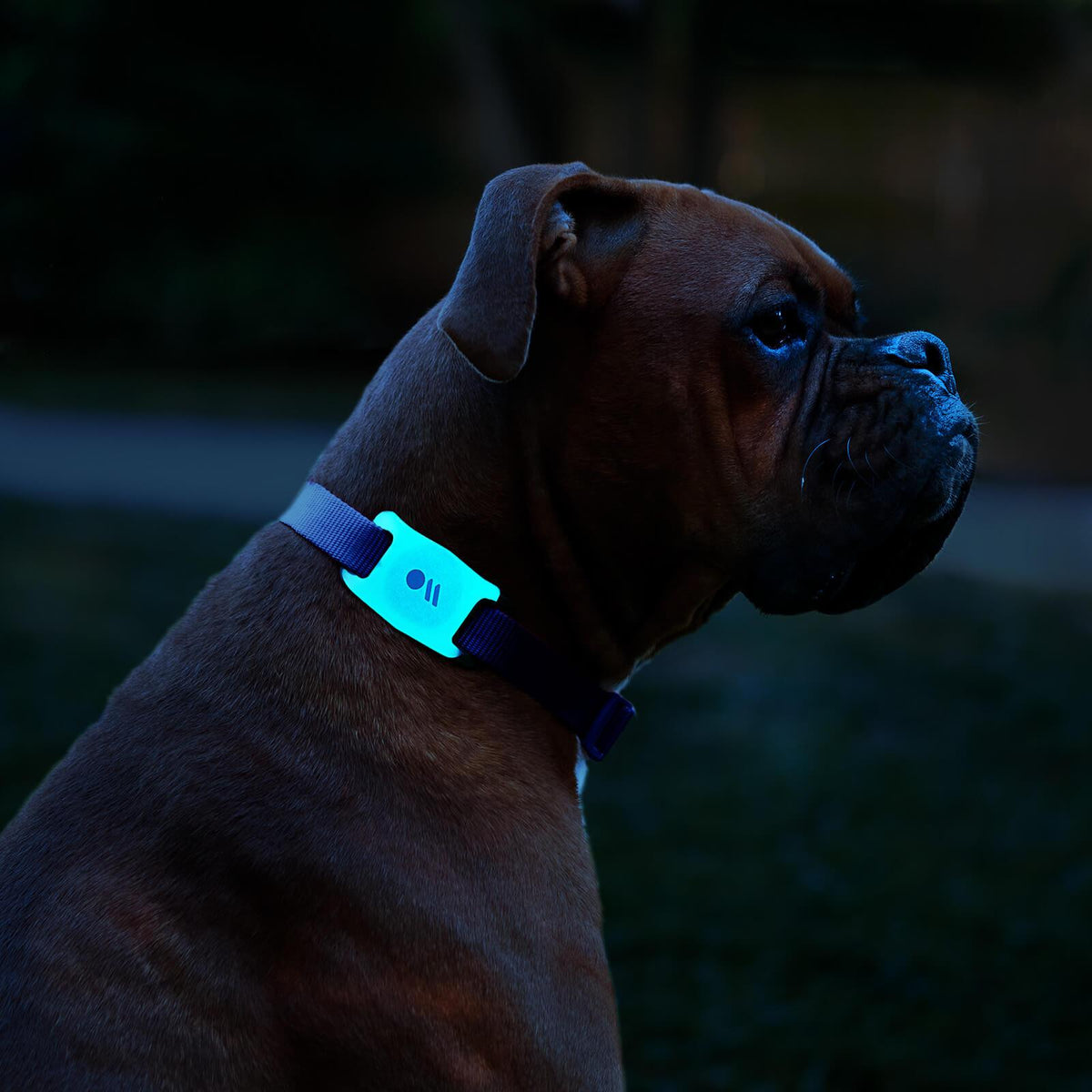 AirTag Case for Dog Collars (Glow in the Dark) - AirTag Case