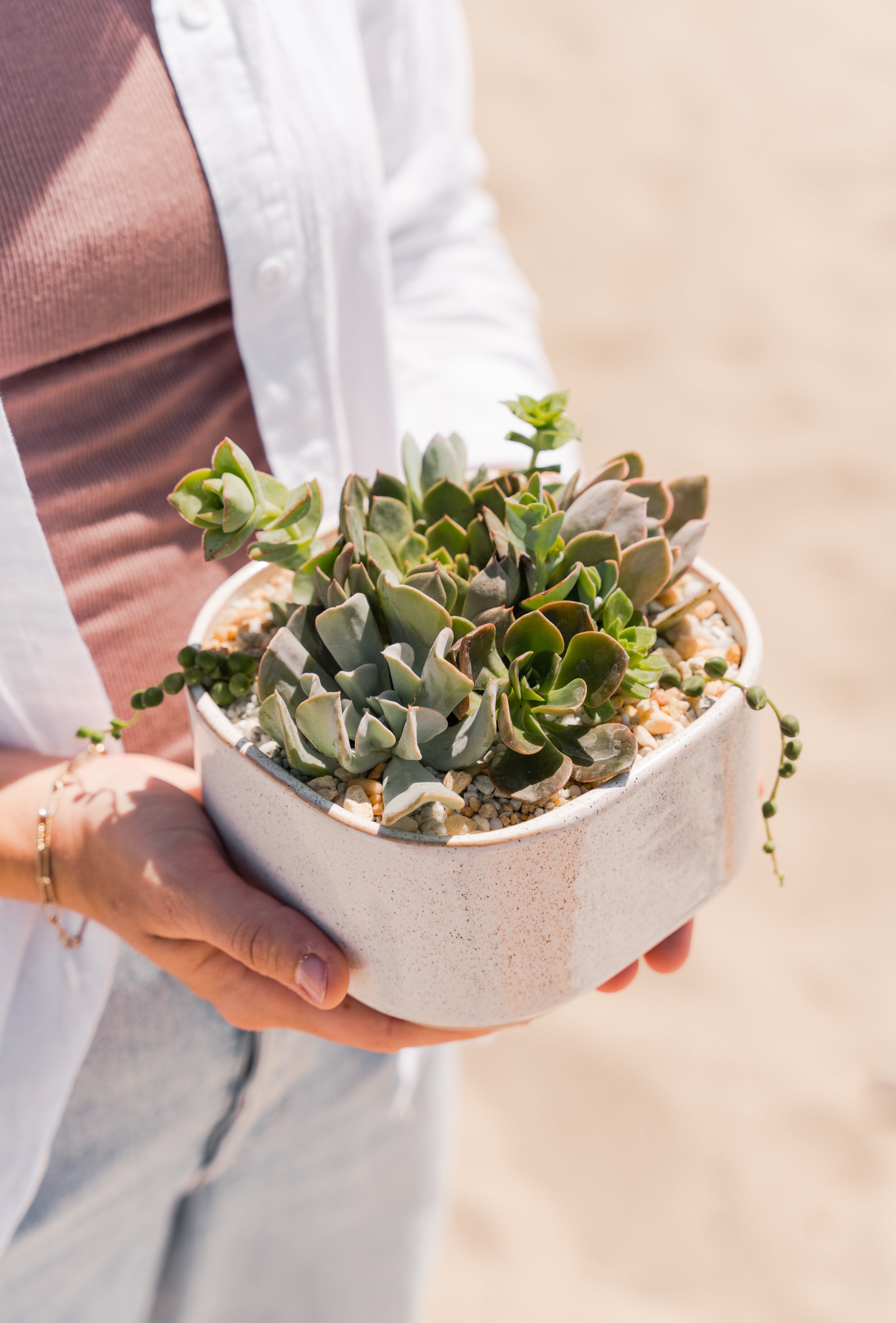 Hands holding square succulent planter