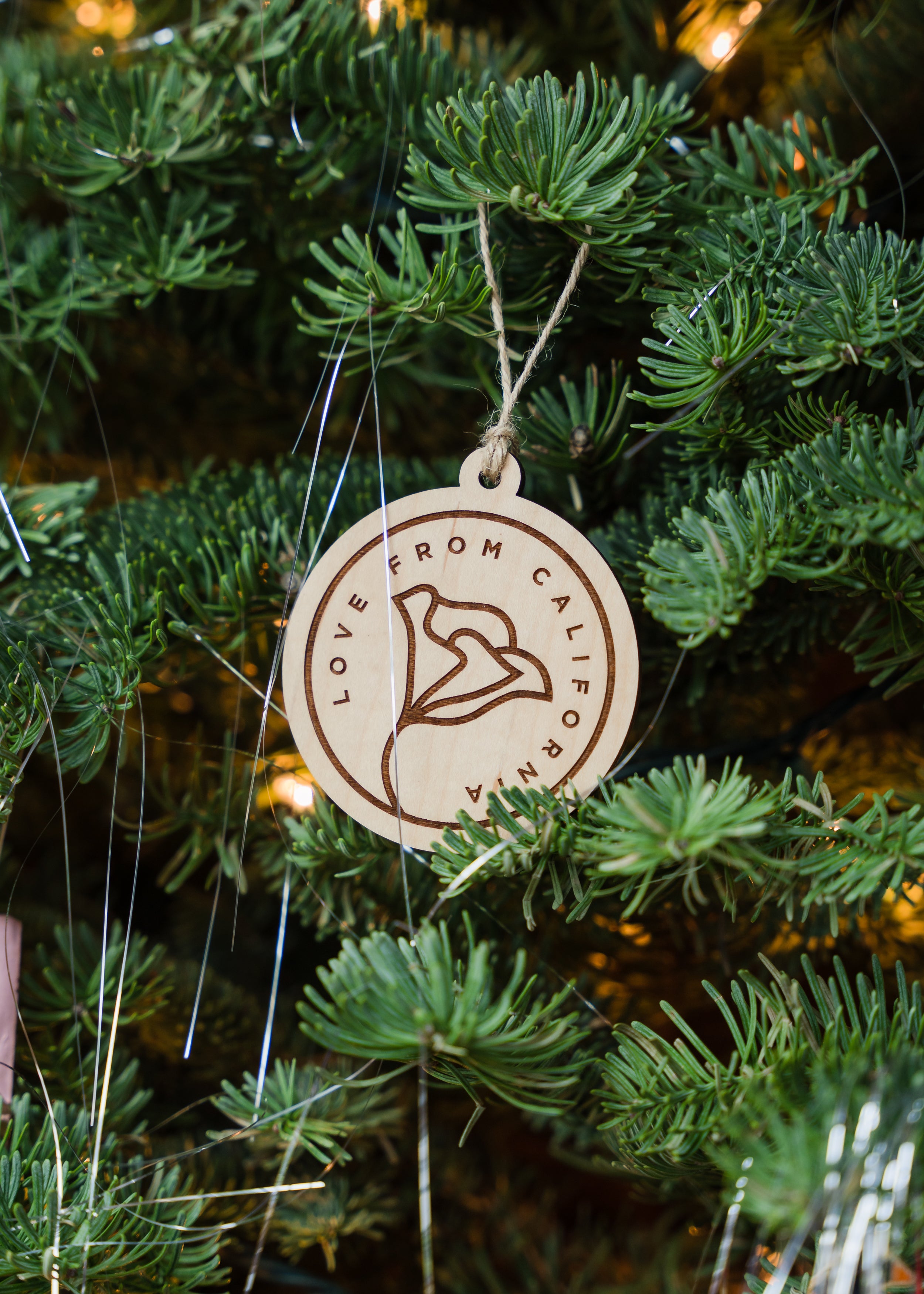 California poppy ornament hanging on a Christmas tree