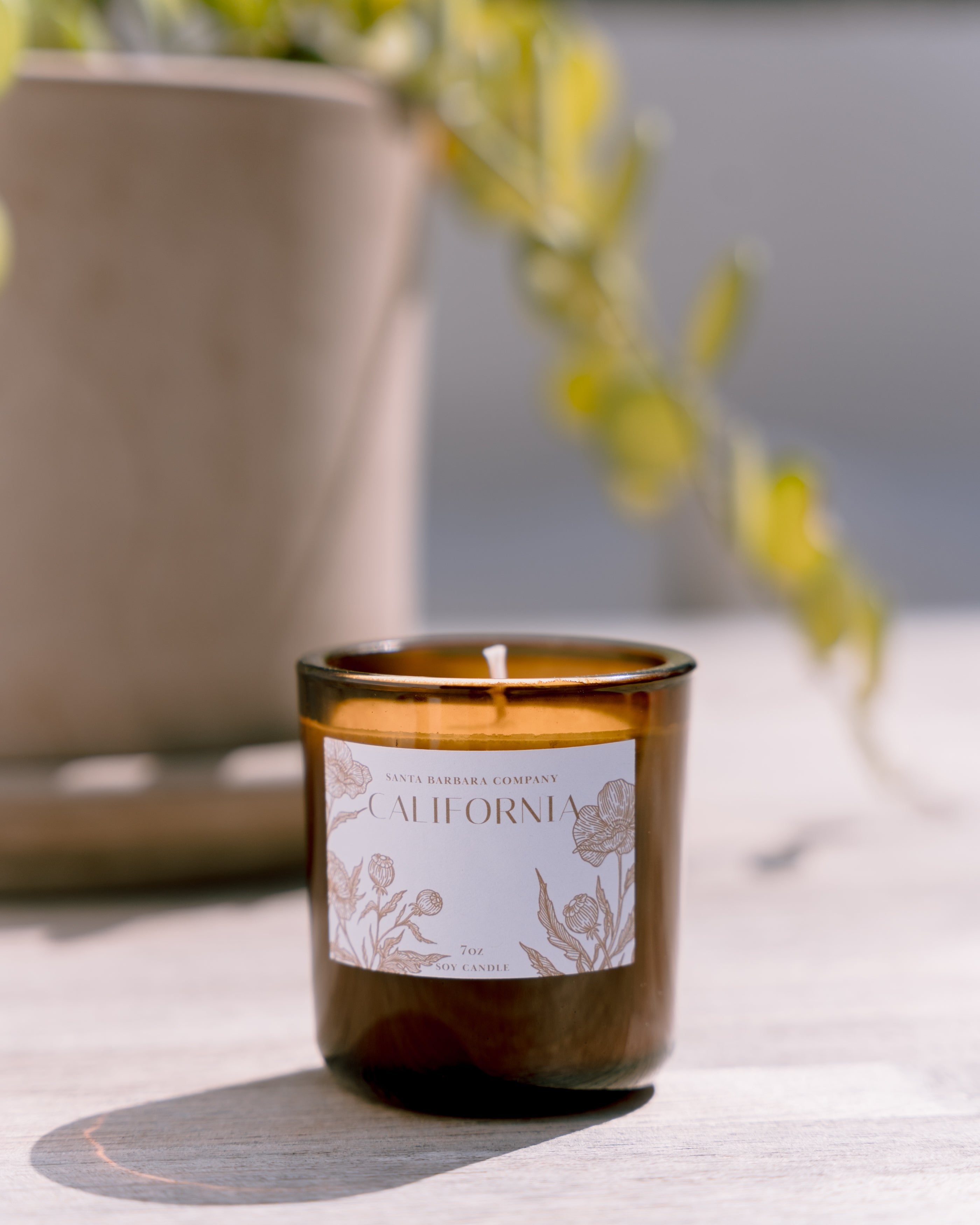 Candle in amber glass cup sitting in front of a plant in sunshine