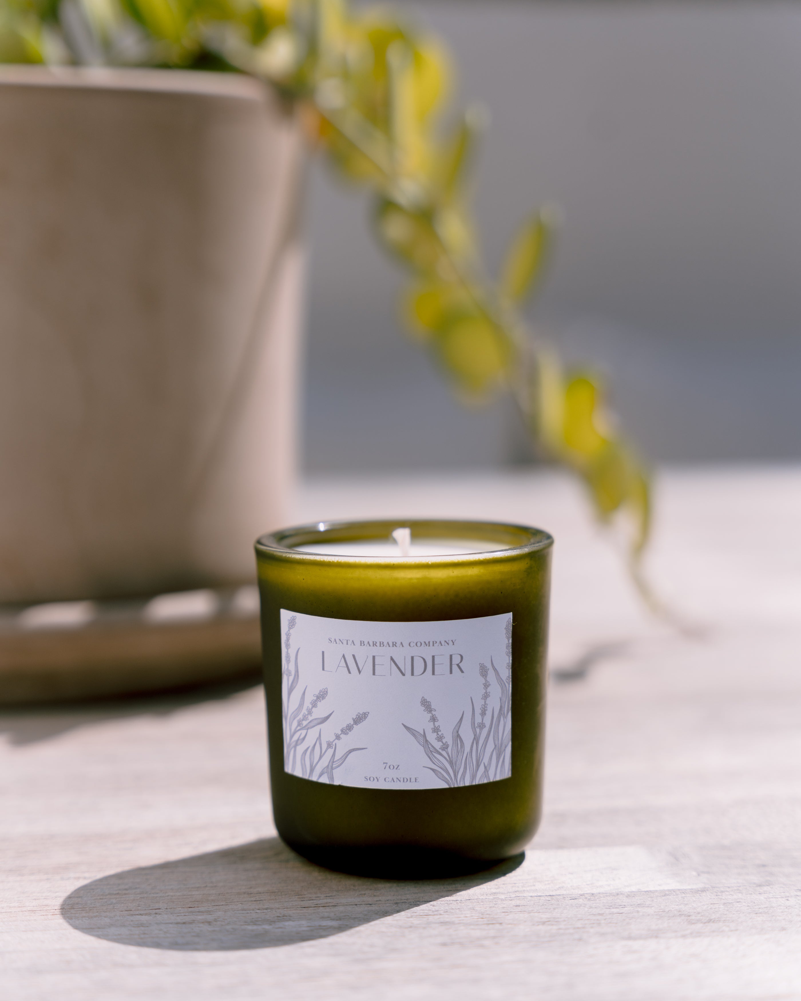 Candle in frosted green vessel sitting in front of a plant in the sunshine