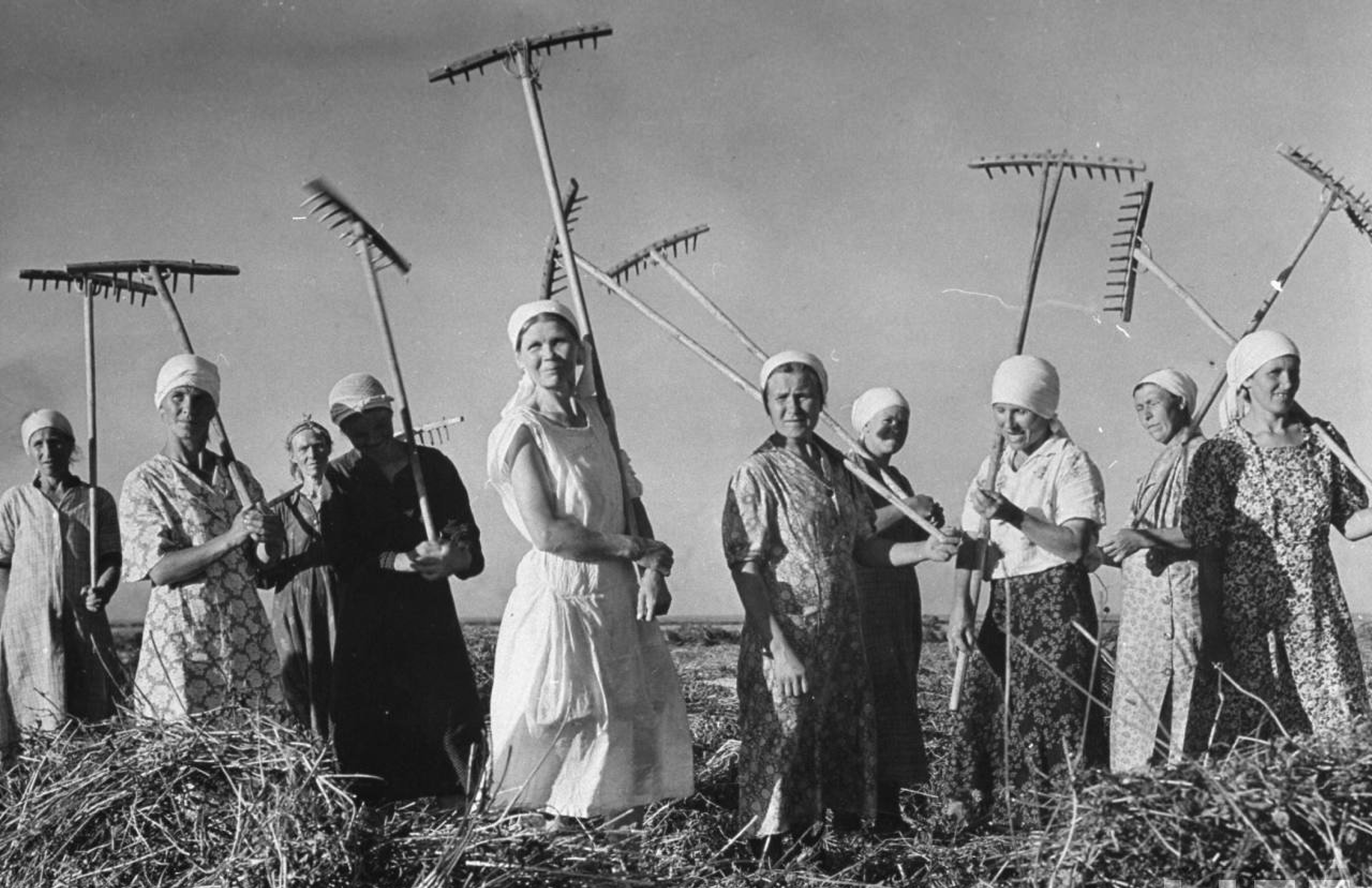 Margaret Bourke-White’s photograph of agricultural workers in the fields of the Soviet Union, 1941
