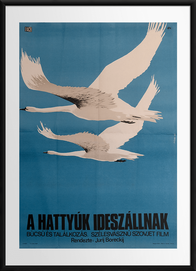 The Swans Fly Here | Hungary | 1975 - Comrade Kiev