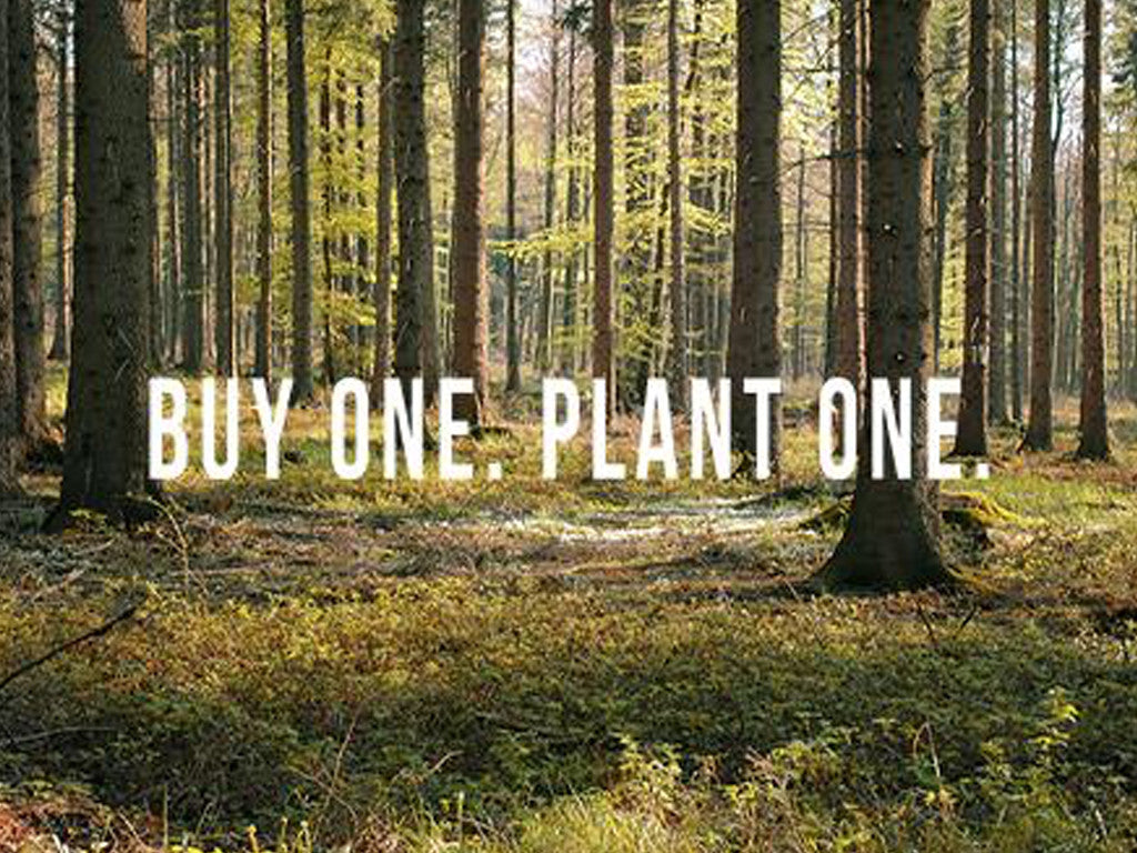 Buy One Plant One- Jamstik+ and Woodchuck USA