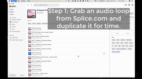 Step 1: Grab an audio loop from Splice