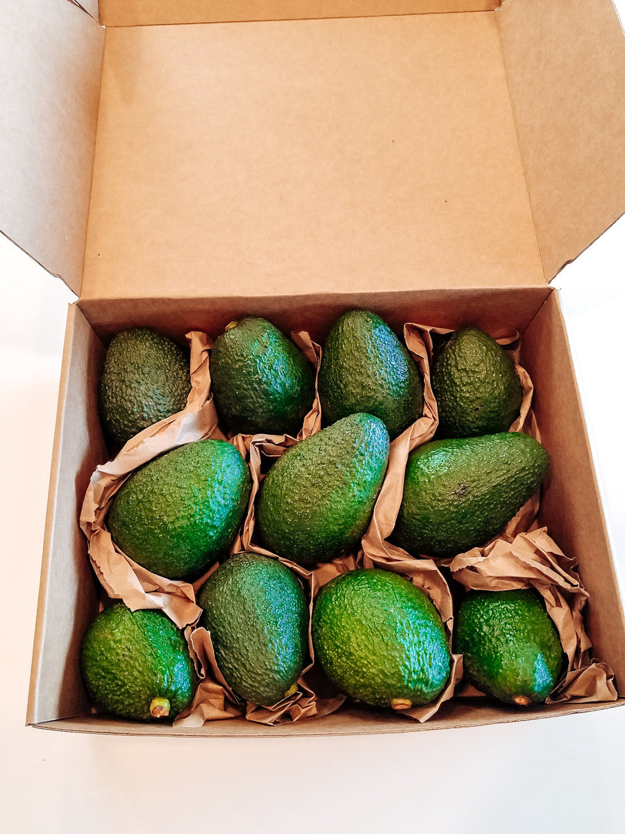 Large Avocado Box- Single order – The Good Fat