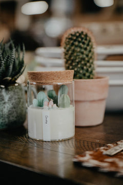 8oz Cactus Terrarium Candle