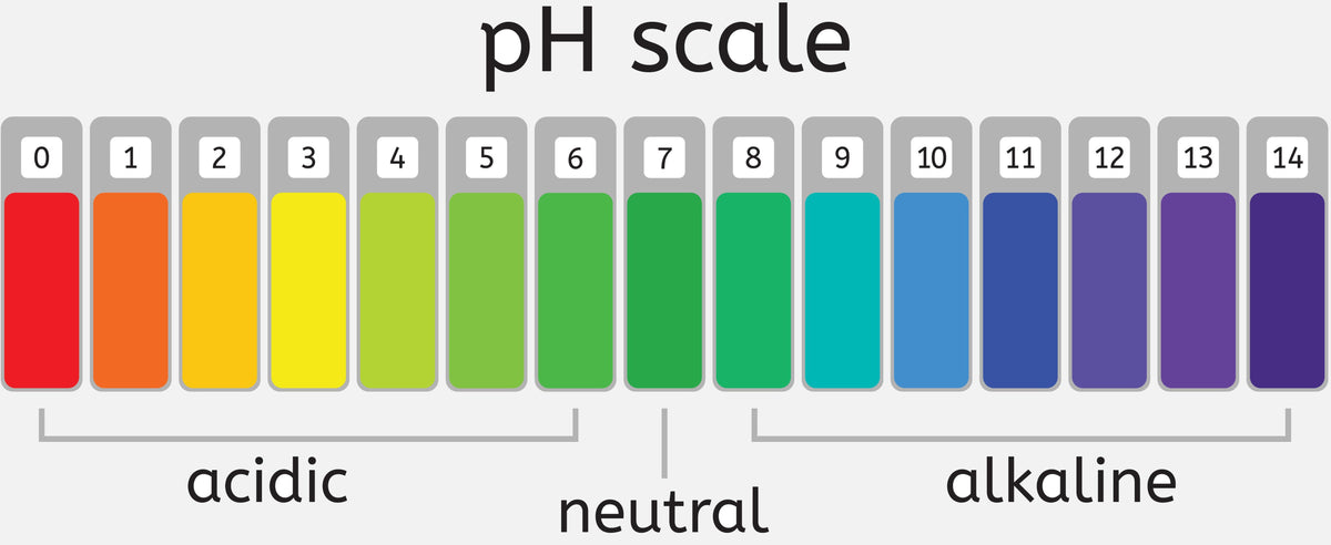 is-raw-honey-acidic-or-alkaline-scrolling-bee