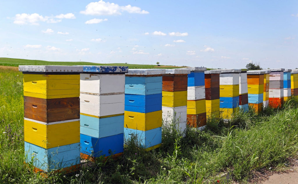 Can you eat honey straight from the hive