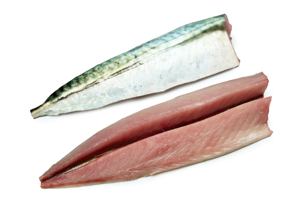 Whole Wild Mackerel - 400g-500g – Notting Hill Fish + Meat