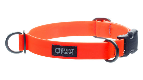 what does an orange dog collar mean