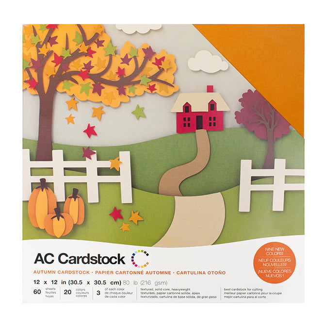 American Crafts Variety Cardstock Pack 12x12 60-pkg-winter