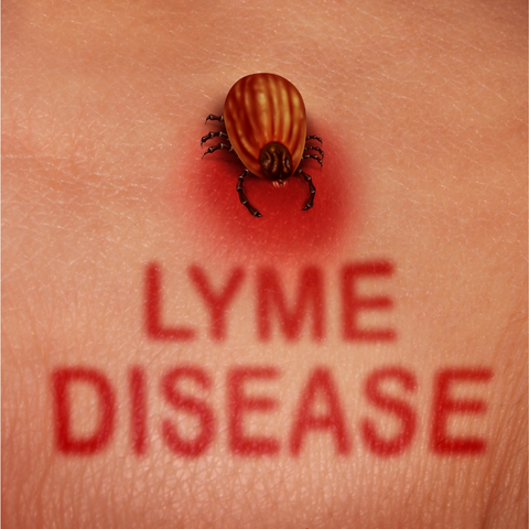 red light therapy and lyme disease