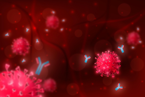 realistic antibody immunoglobulin molecule