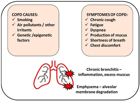 COPD illustration