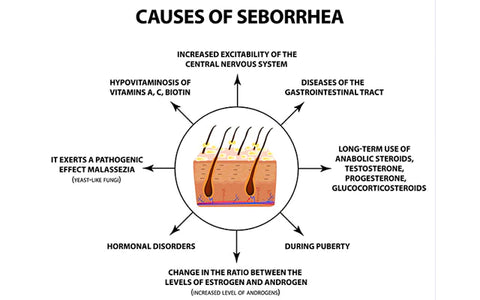 causes of seborrheic dermatitis