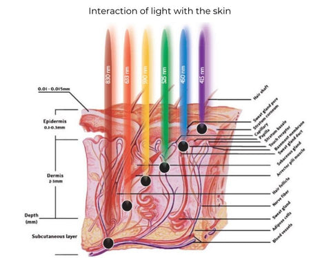 interaction of light on skin