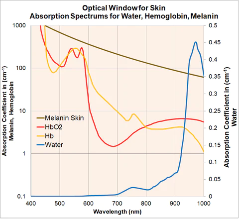 red light therapy wavelengths and human tissue